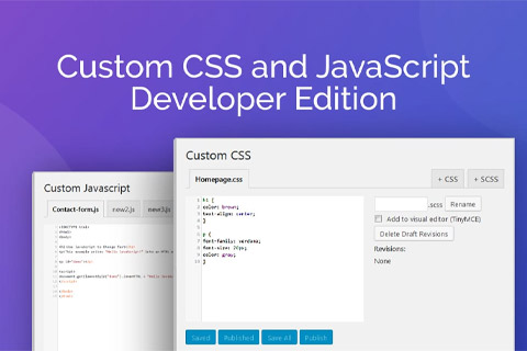 AGS Custom CSS and JavaScript