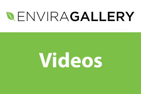 WordPress плагин Envira Gallery Videos