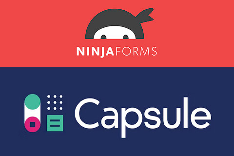 WordPress плагин Ninja Forms Capsule CRM