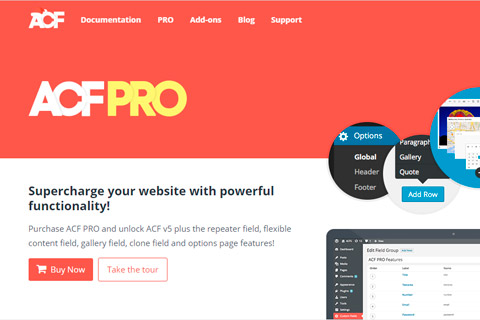 WordPress плагин Advanced Custom Fields Pro