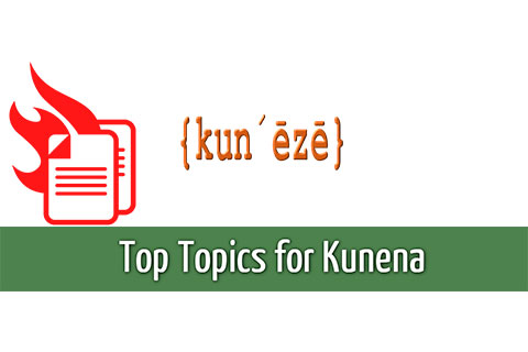 Top Topics for Kunena
