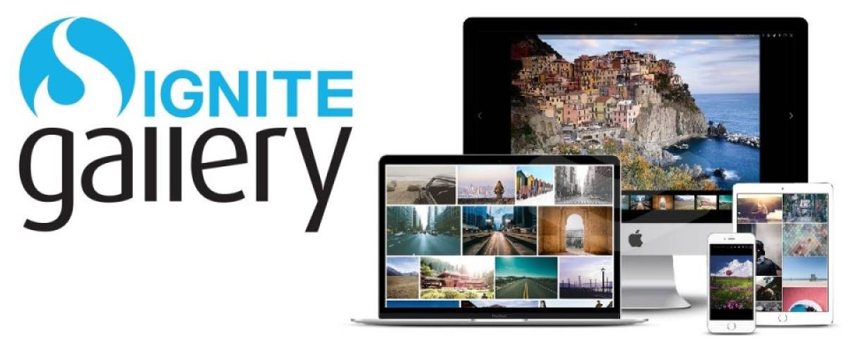 Ignite Gallery в действии