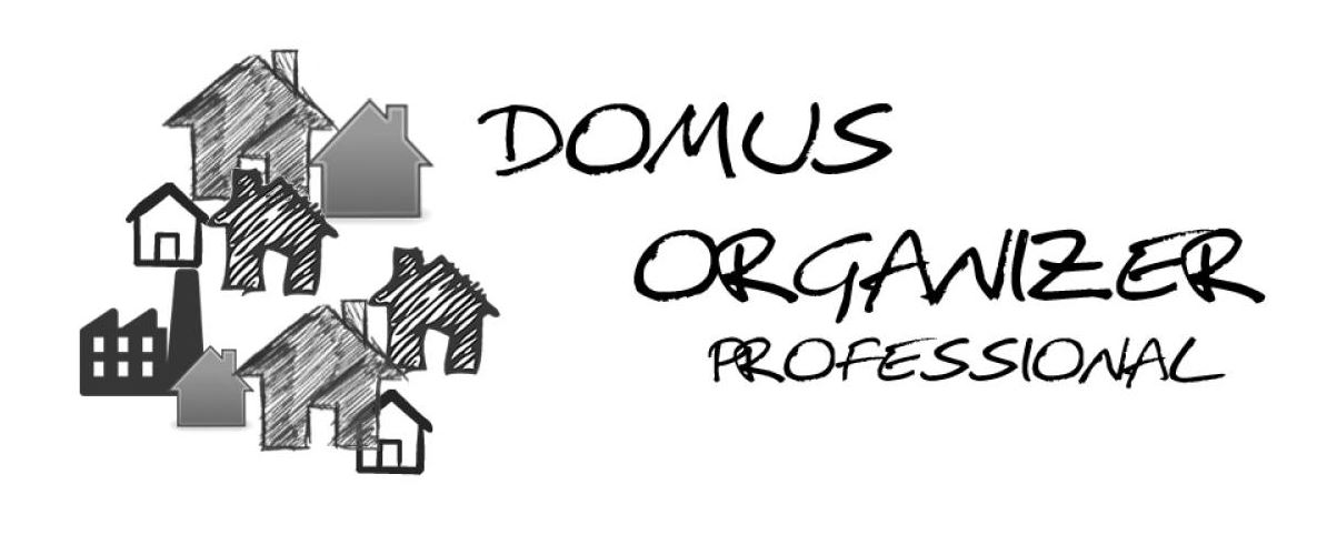 Domus Organizer Professional - расширение для агентств