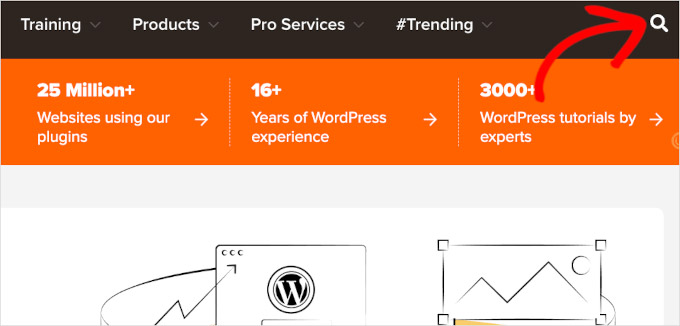 Использование поиска для решения проблем WordPress