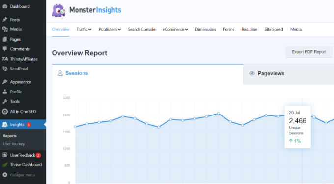 Обзорный отчет в плагине MonsterInsights