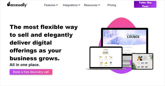 Интерфейс плагина AccessAlly