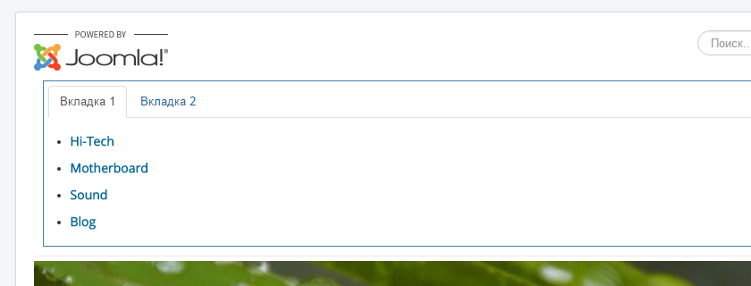 Результат Вкладки на Joomla сайте