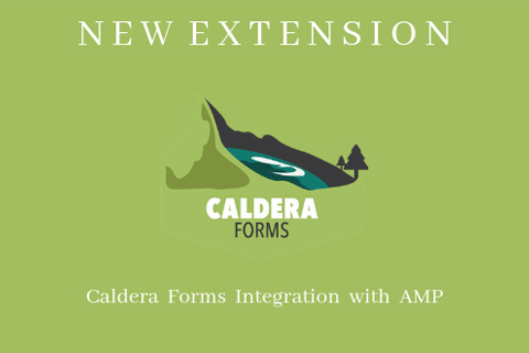 WordPress плагин AMP Caldera Forms