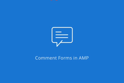 AMP Comment Form