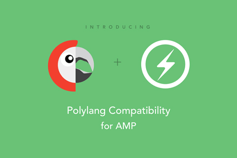 AMP Polylang