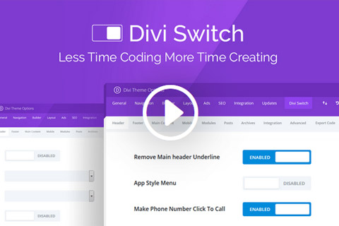 AGS Divi Switch