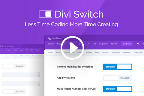 WordPress плагин AGS Divi Switch