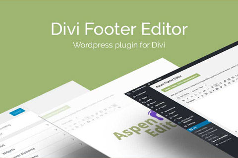 AGS Divi Footer Editor