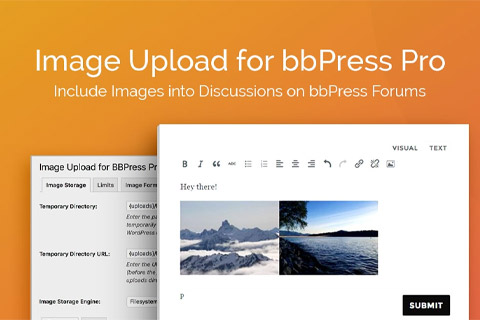 WordPress плагин AGS Image Upload for bbPress Pro