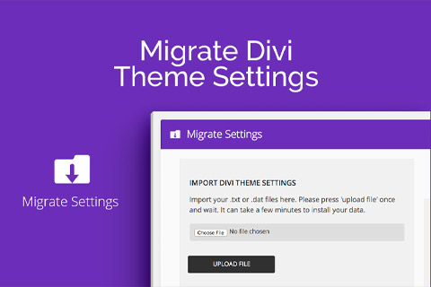 AGS Migrate Divi Theme Settings