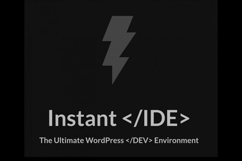WordPress плагин Instant IDE Manager