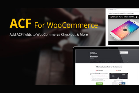 CodeCanyon Advanced Custom Fields