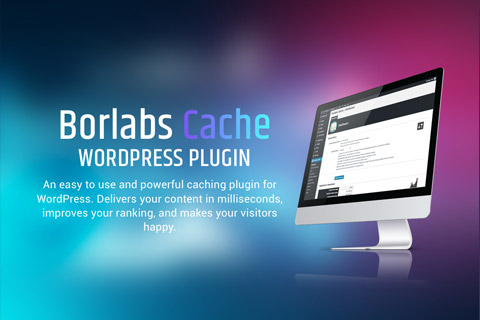 WordPress плагин CodeCanyon Borlabs Cache