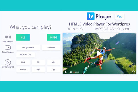 WordPress плагин CodeCanyon bzPlayer Pro