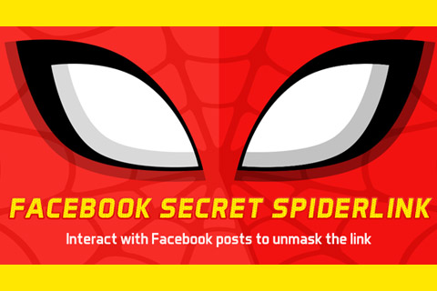 WordPress плагин CodeCanyon Facebook SpiderLink