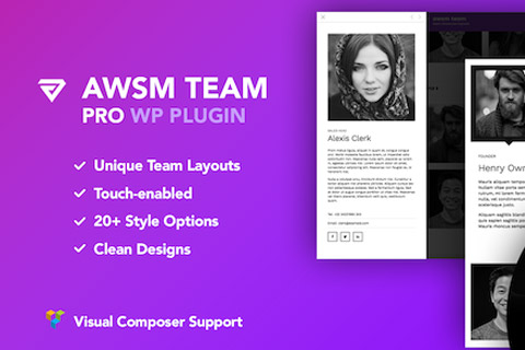 WordPress плагин CodeCanyon The Team Pro