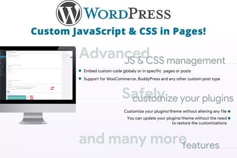 CodeCanyon Custom JavaScript & CSS in Pages