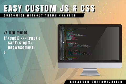 WordPress плагин CodeCanyon Easy Custom JS And CSS