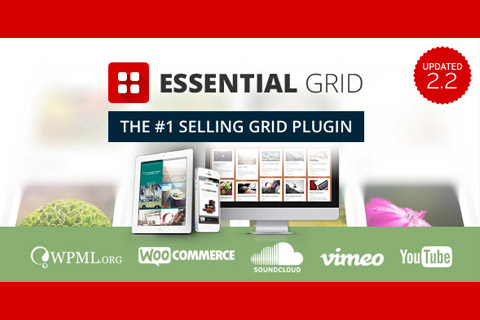 CodeCanyon Essential Grid