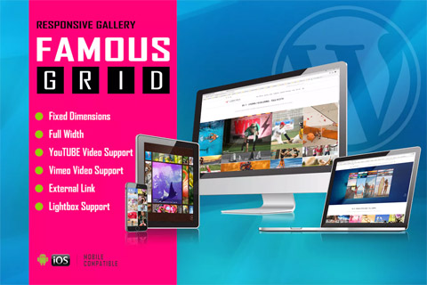 WordPress плагин CodeCanyon Famous Responsive Image And Video Grid Gallery