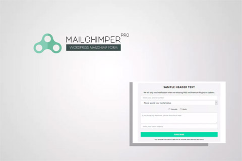 CodeCanyon MailChimper Pro