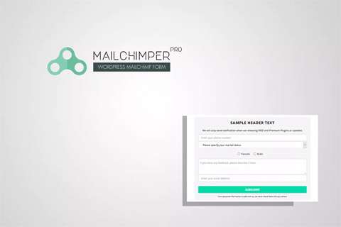 WordPress плагин CodeCanyon MailChimper Pro