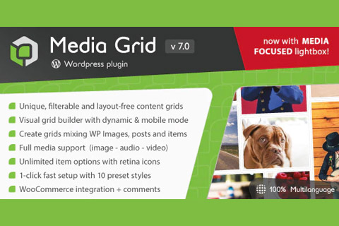 WordPress плагин CodeCanyon Media Grid