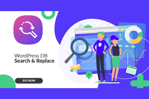 CodeCanyon WordPress Database Search & Replace