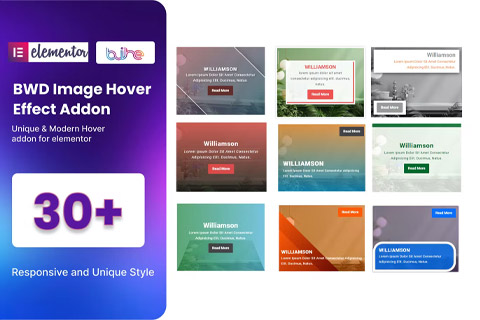 WordPress плагин CodeCanyon BWD Image Hover Effect