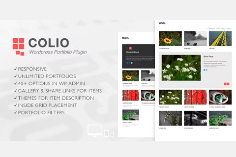 WordPress плагин CodeCanyon Colio