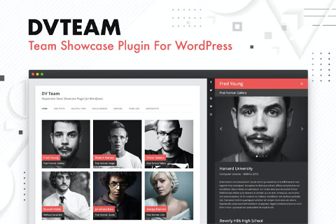 WordPress плагин CodeCanyon DV Team