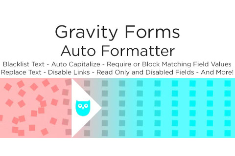 WordPress плагин CodeCanyon Gravity Forms Auto Formatter