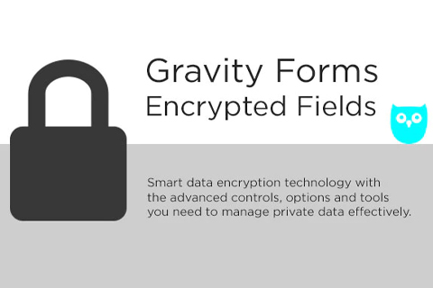 WordPress плагин CodeCanyon Gravity Forms Encrypted Fields