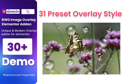WordPress плагин CodeCanyon BWD Image Overlay