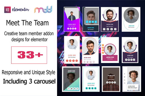 WordPress плагин CodeCanyon BWD Meet the team