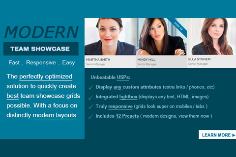 WordPress плагин CodeCanyon Modern Team Showcase