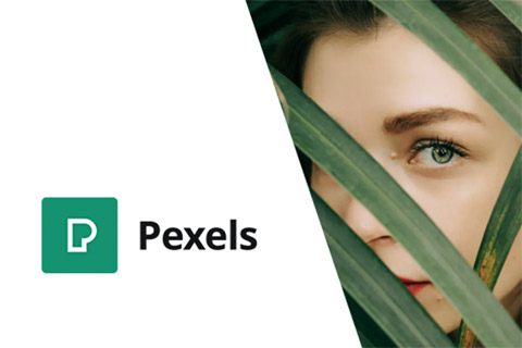CodeCanyon Pexels