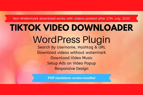 CodeCanyon TikTok Video Downloader