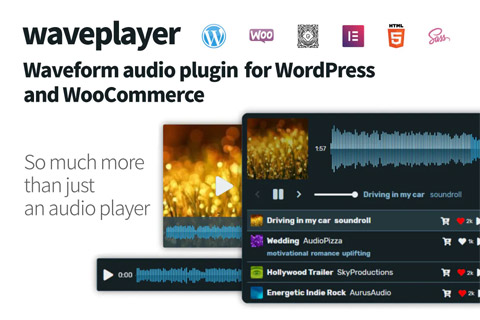 CodeCanyon WavePlayer