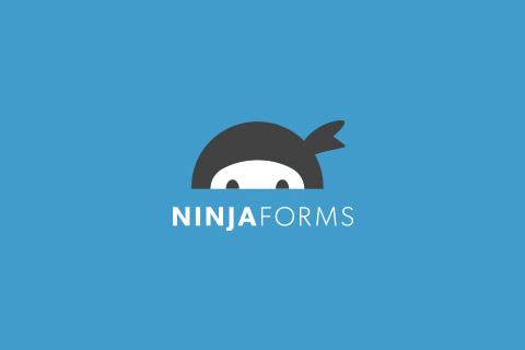 WordPress плагин Download Monitor Ninja Forms Lock