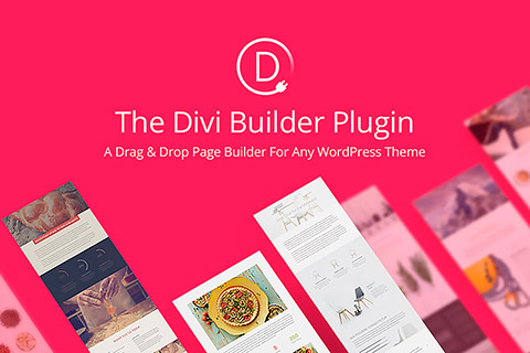 WordPress плагин ElegantThemes Divi Builder