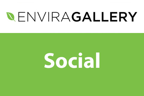 WordPress плагин Envira Gallery Social