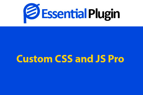 Custom CSS and JS Pro