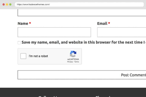 Kadence reCAPTCHA
