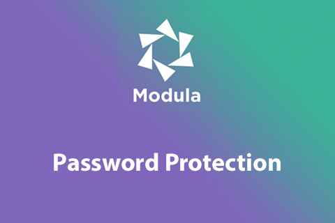 Modula Password Protection